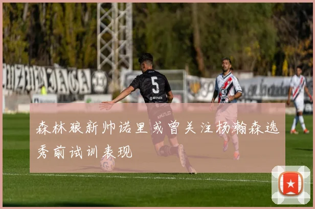 森林狼新帅诺里或曾关注杨瀚森选秀前试训表现
