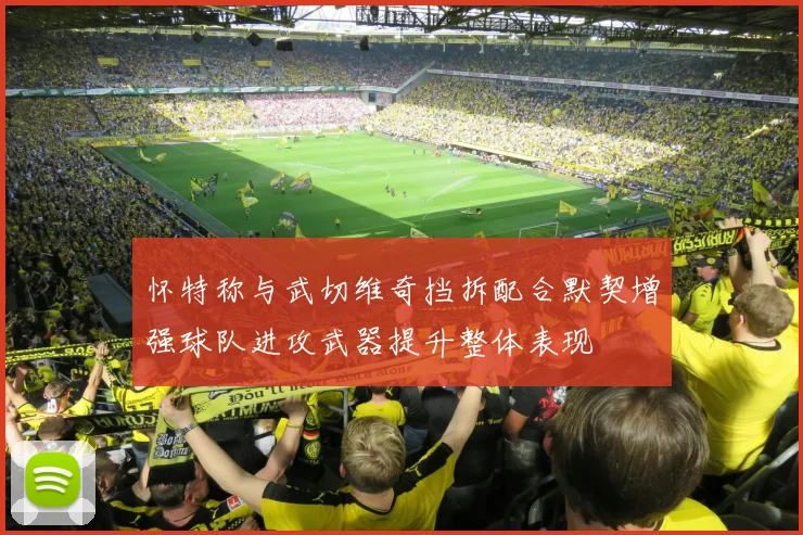 怀特称与武切维奇挡拆配合默契增强球队进攻武器提升整体表现